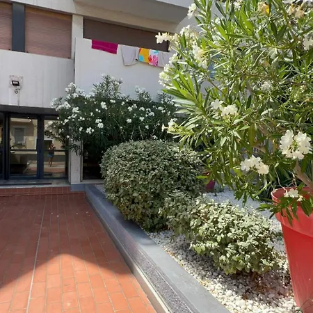 Avec Piscine Le Palace Centre Daire Perpignan
